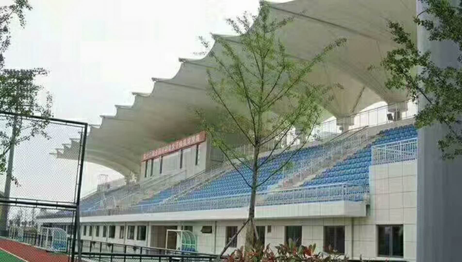 體育膜結構